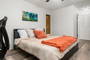 featured image of Leafy Hollow