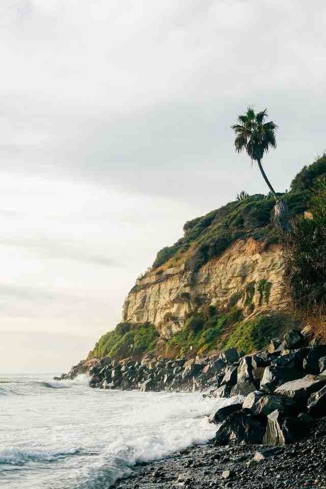 1574 Lorraine Dr #1058617P - Photo 7 of 10