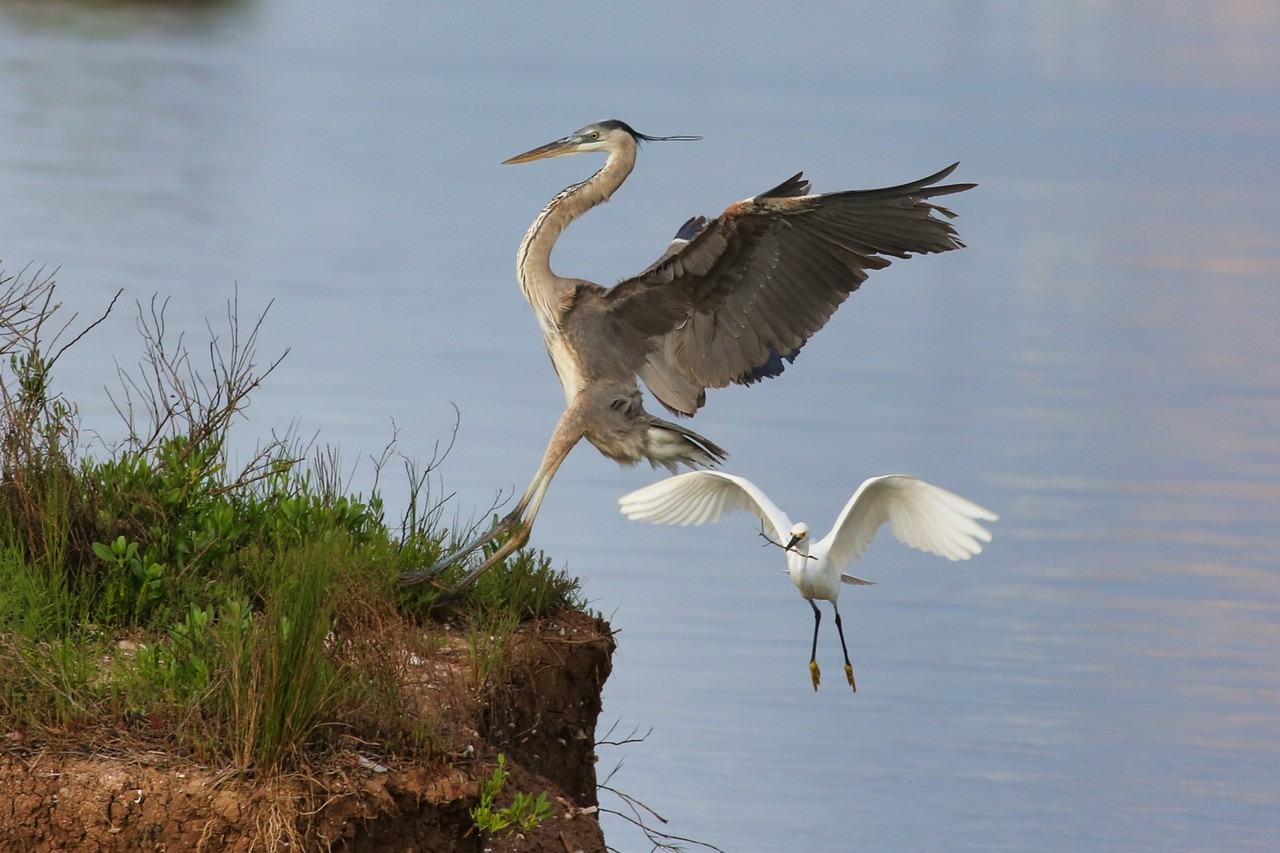 1288 County Road 297 #1288 - Photo 7 of 45