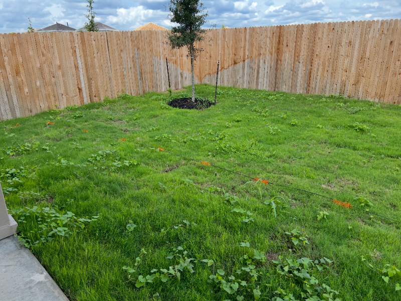 14627 Sweet Clover - Photo 2 of 20