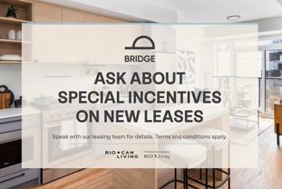 Bridge - Photo 1 of 1