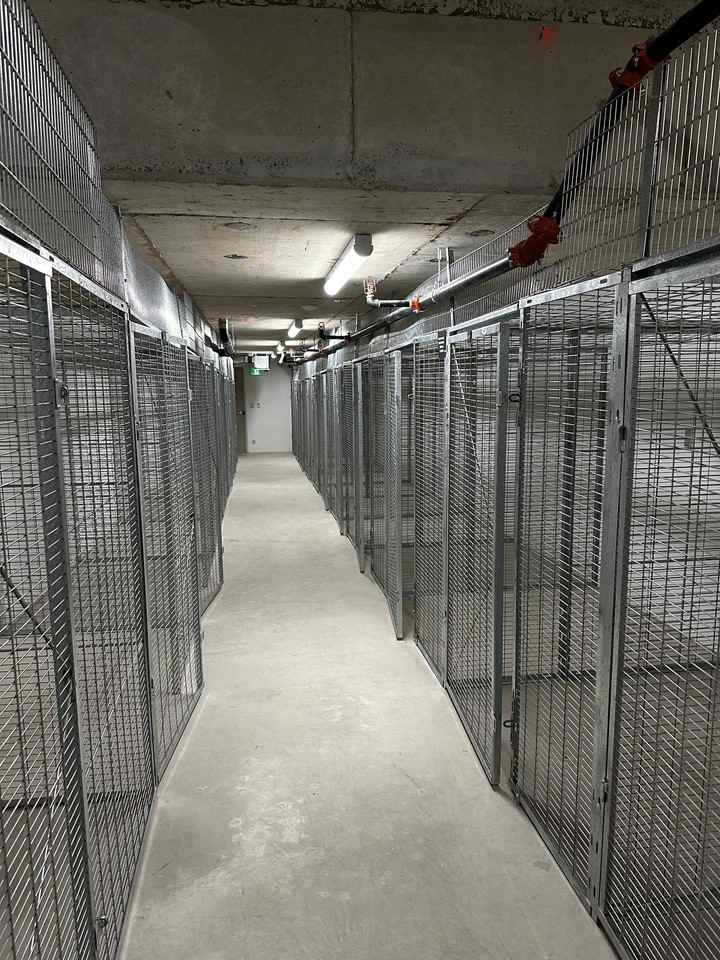 8264 208 Street #322 - Photo 6 of 10