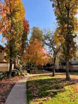 2300 Oakdale Road #128 - Photo 1 of 1