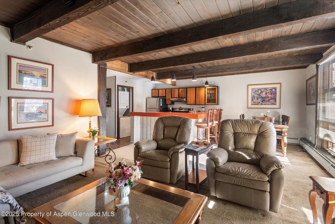 600 E Main St Apt 207 #207 - Photo 2 of 16