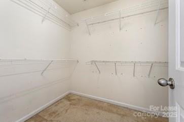 7007 Advocator Lane - Photo 6 of 10