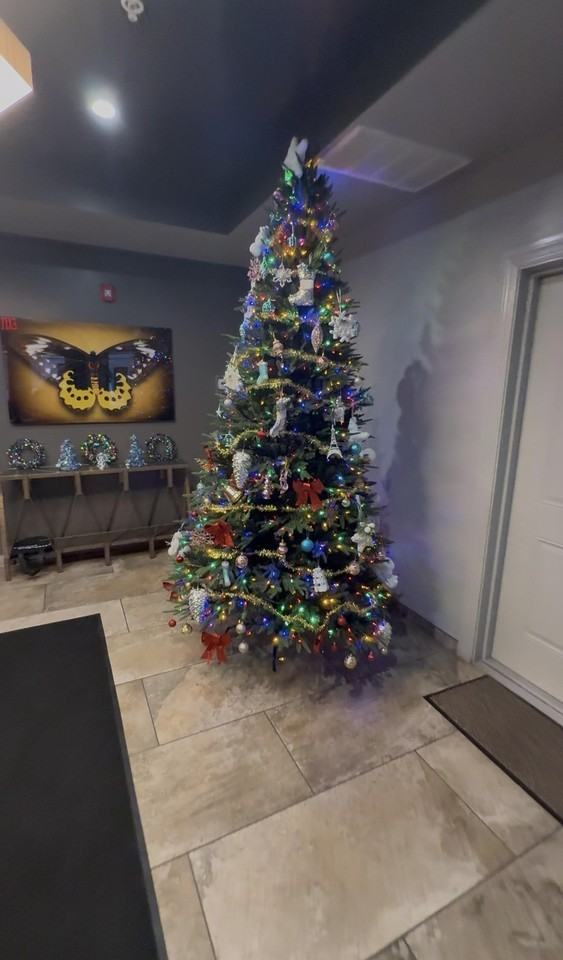 304 Broadway #206 - Photo 2 of 10