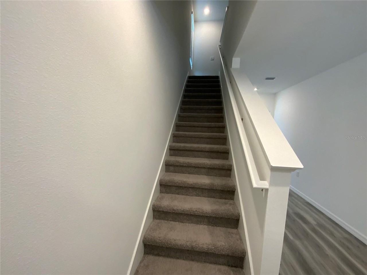 32386 Evening Grove Court - Photo 2 of 13