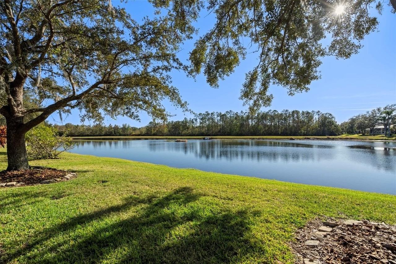 27422 Edenfield Drive - Photo 2 of 24