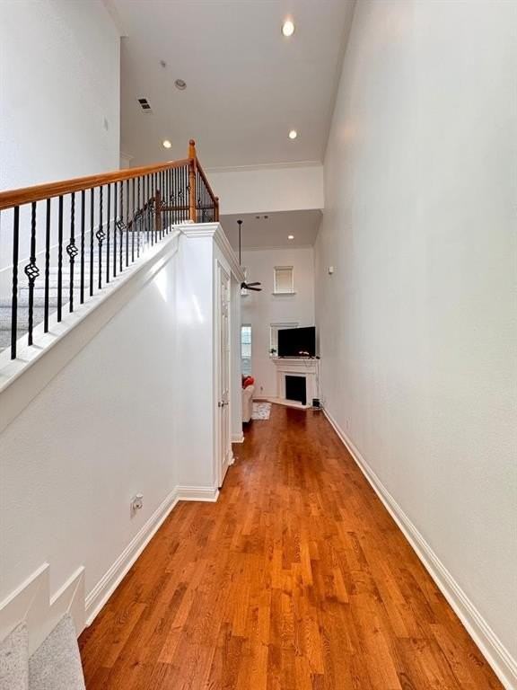 4406 Honfleur Court - Photo 2 of 11