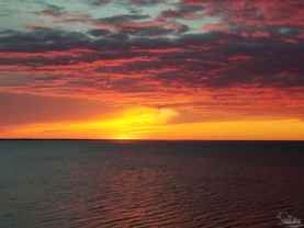 710 Scenic Highway #202 - Photo 1 of 1