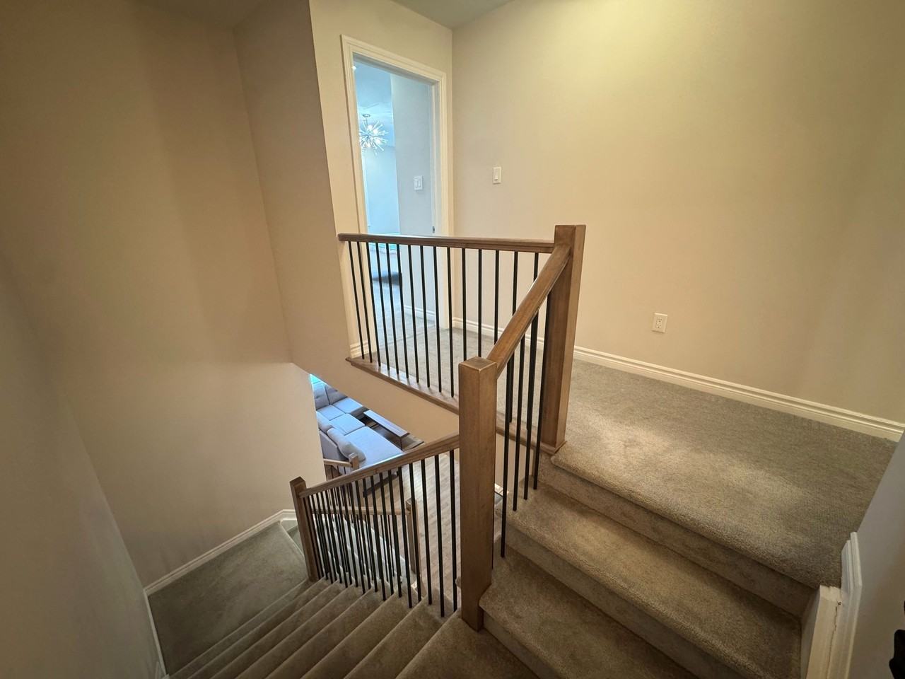 806 Horseshoe Falls Way - Photo 7 of 24