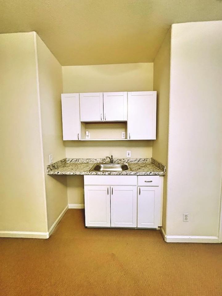 784 Begonia Drive - Photo 4 of 18