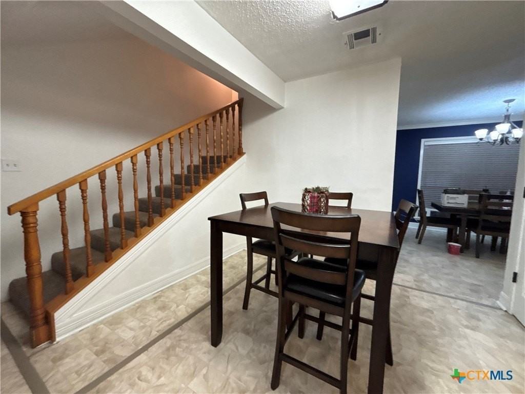 205 Magdalena Drive - Photo 7 of 19