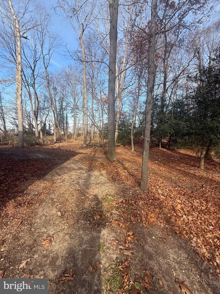 8859 Clendaniel Pond Road - Photo 7 of 25