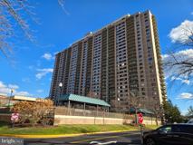 5501 Seminary Road #214S - Photo 1 of 1