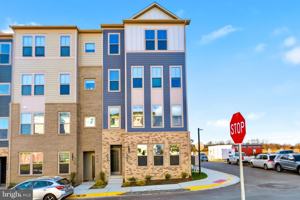 featured image of 19705 Misty Moss Square