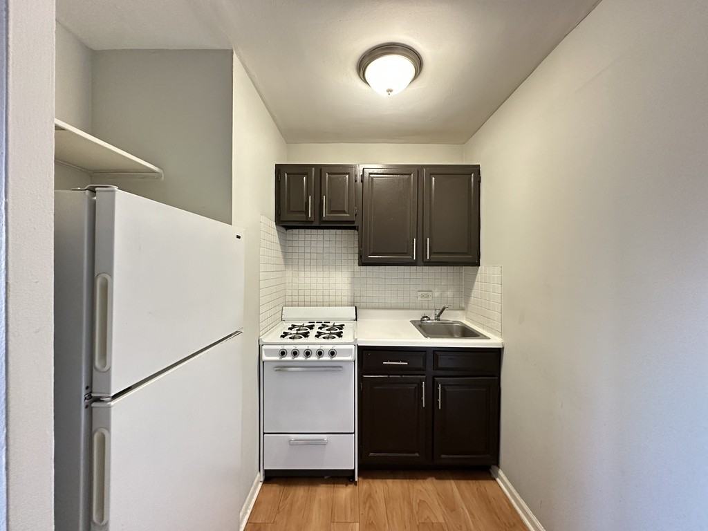 4610 North Dover Street #3A - Photo 2 of 21