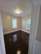 Locust - Photo 1 of 1