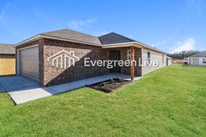 featured image of Sarah Alyse Lane