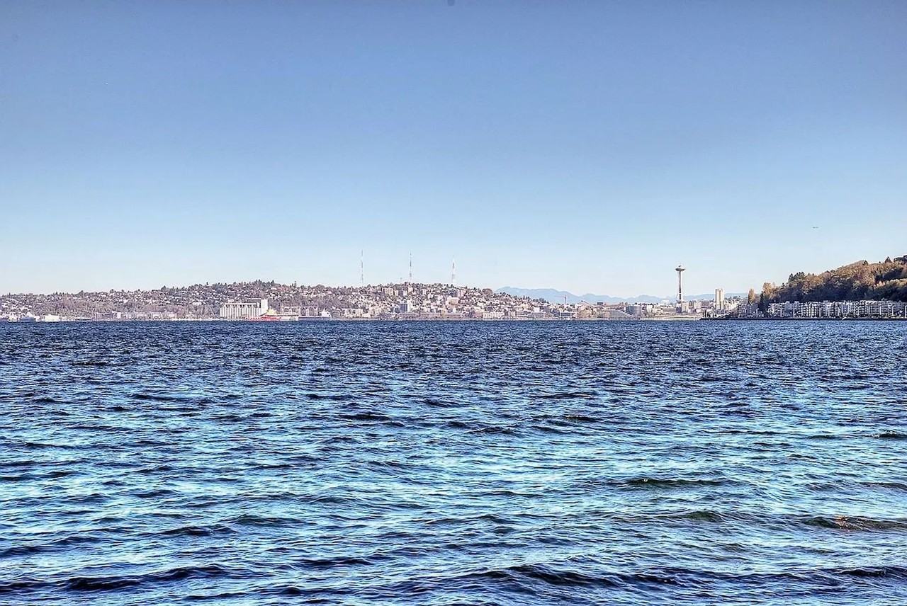 3151 Alki Avenue Southwest #13 - Photo 3 of 16