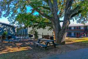 featured image of 3300 South College Avenue #D9