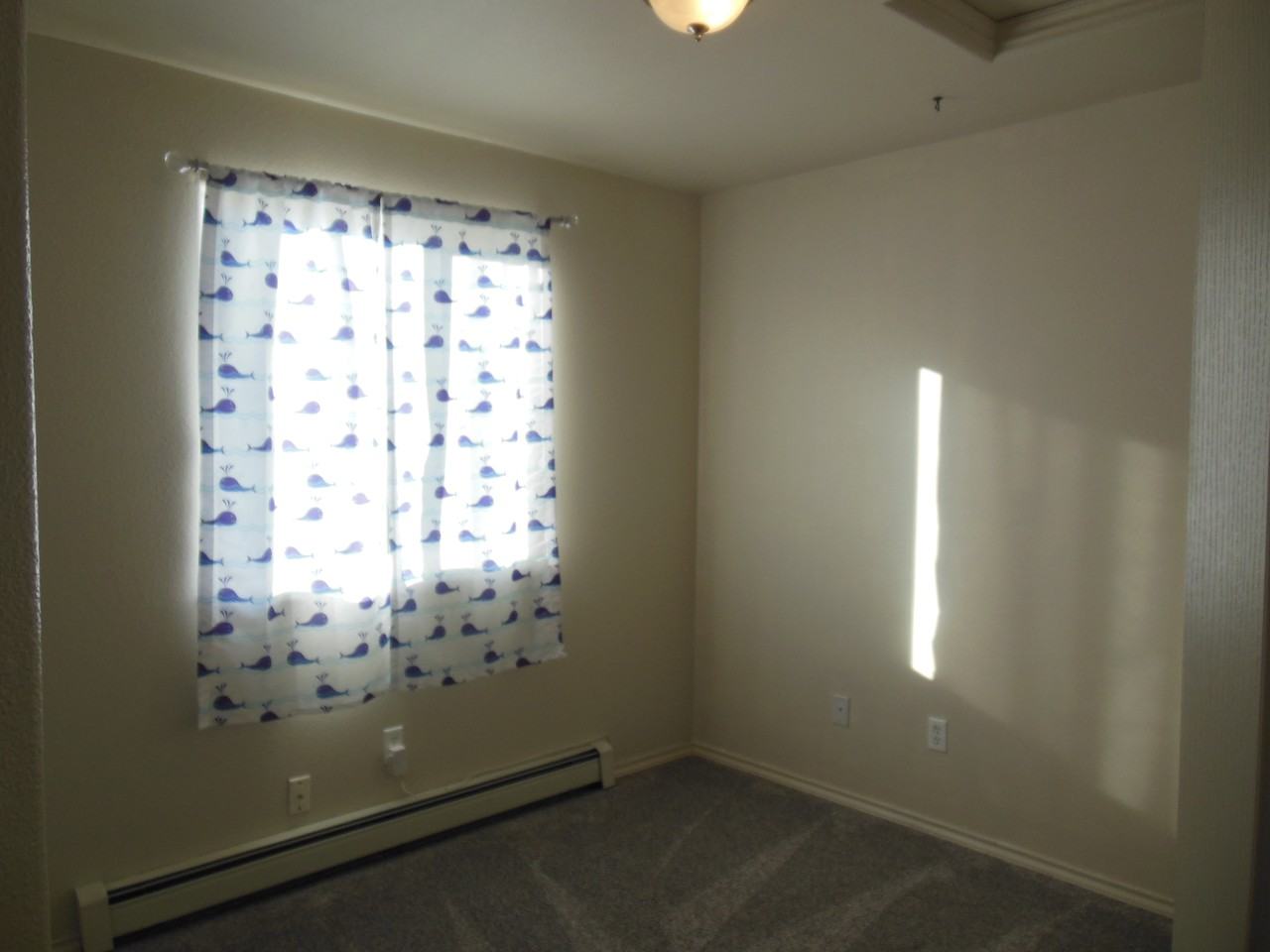 489 Appaloosa Lane #NA - Photo 7 of 11