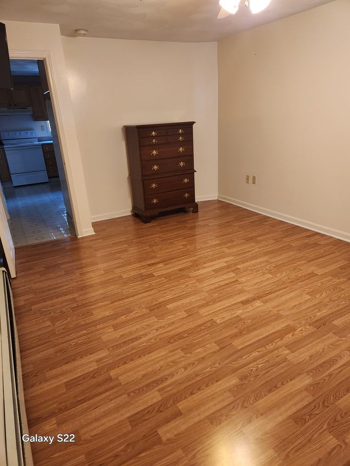 7 Garfield Ave #1-1BDRM - Photo 4 of 9