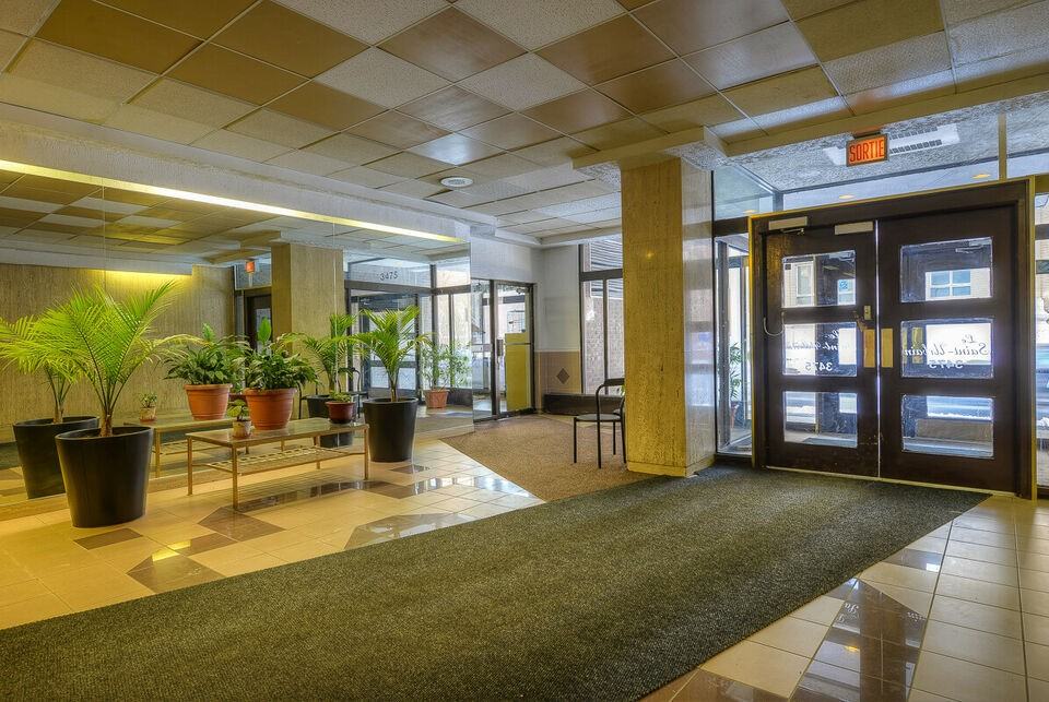 3475 Rue Saint-Urbain - Photo 18