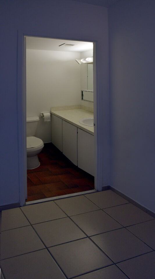 3475 Rue Saint-Urbain - Photo 23