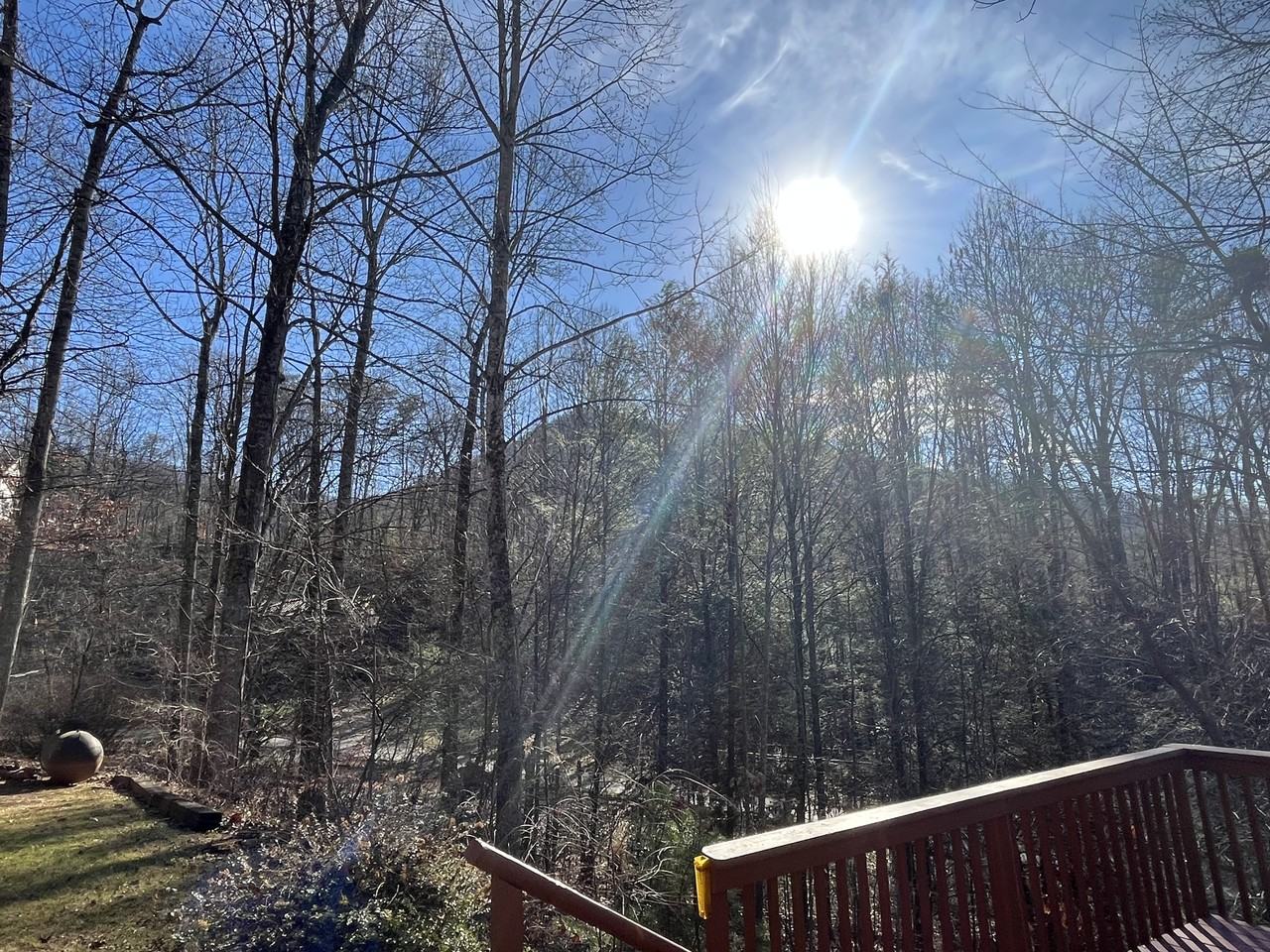 51 Buck Spring Acres #1 - Photo 5 of 25