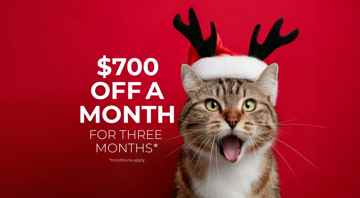 featured image of 81 Element Drive North