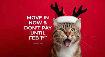 featured image of 1153 Saint Anne's Road