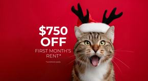 Hillside Walk - Photo 1 of 1