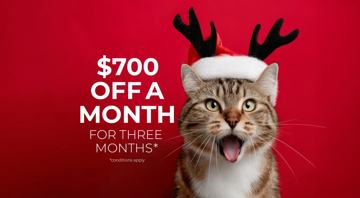 featured image of 5 Night Bloom Drive