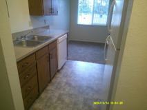 IBT Management LLC - Photo 1 of 1