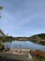 featured image of 206 St & 28 Ave