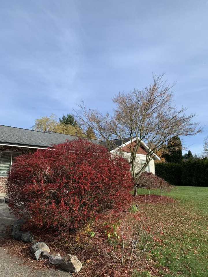 206 St & 28 Ave - Photo 4 of 13