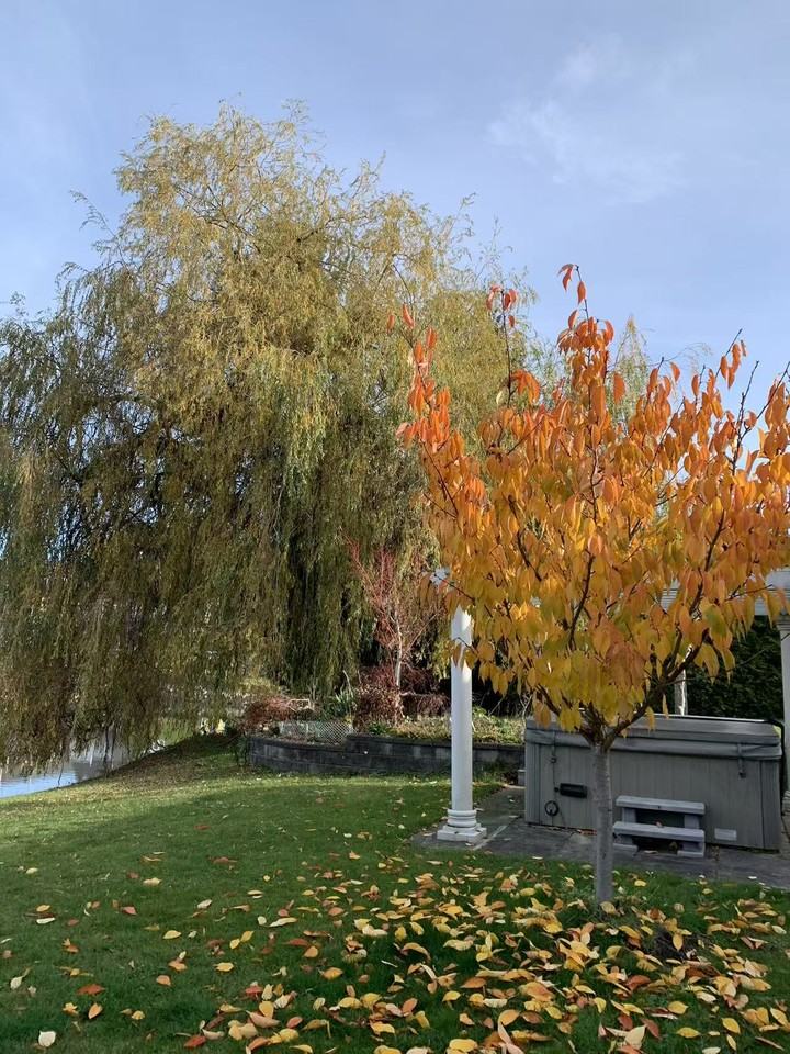 206 St & 28 Ave - Photo 5 of 13