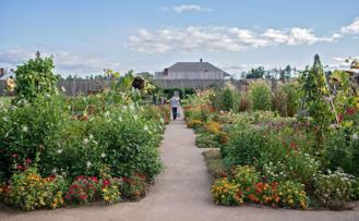 500 E 13th St - Photo 1 of 1