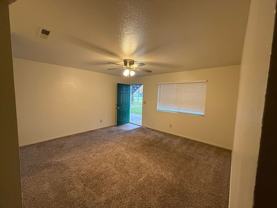 2Bd 1bath - Photo 1 of 1