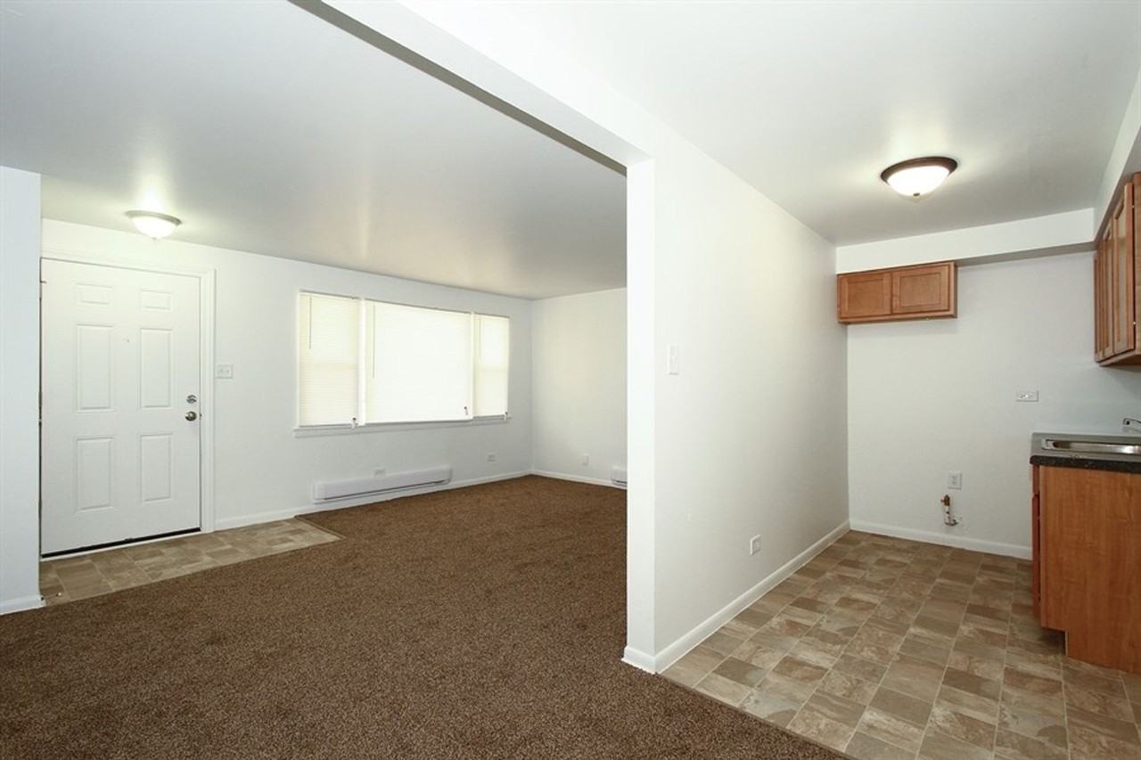 8345-49 S Drexel Ave Chicago, IL 60619 - Photo 5 of 24