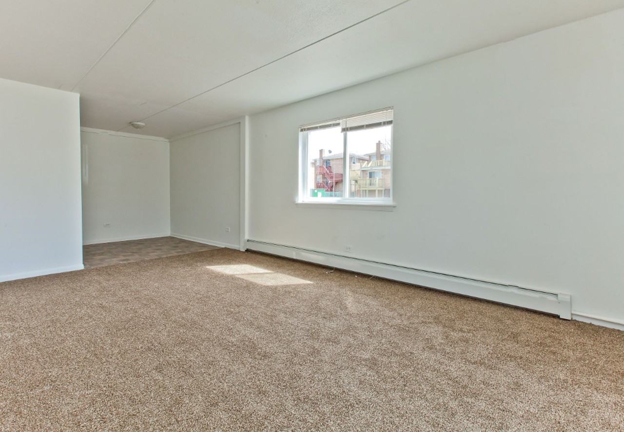 10 W 137th ST Riverdale, IL 60827 - Photo 3 of 17