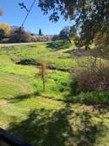 Dry Creek Apartments - Photo 1 of 1