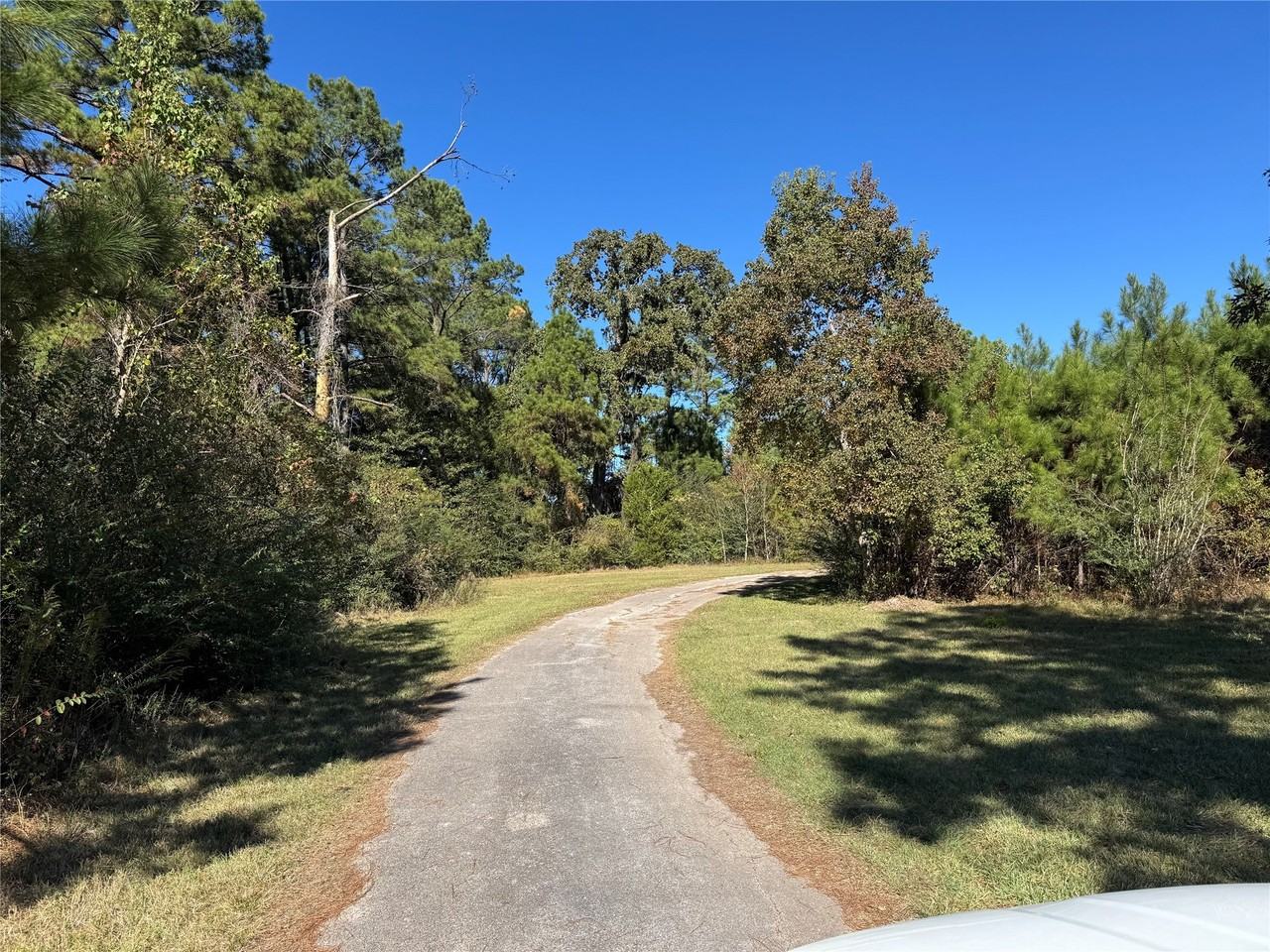 24879 Macedonia Road #24879 - Photo 5 of 23