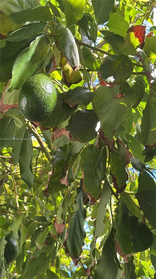 415 75th Street #4151A