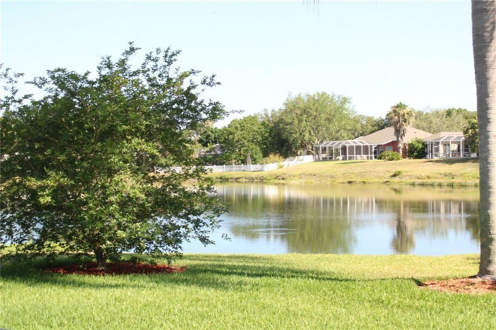 11257 28th Street Circle East #11257 - Photo 4 of 50