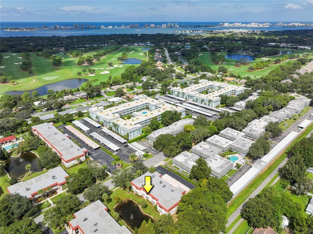 1753 Belleair Forest Dr #1753D3 - Photo 7 of 32