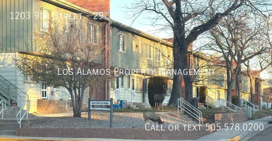 1203 9th Street #29 - Photo 7 of 9