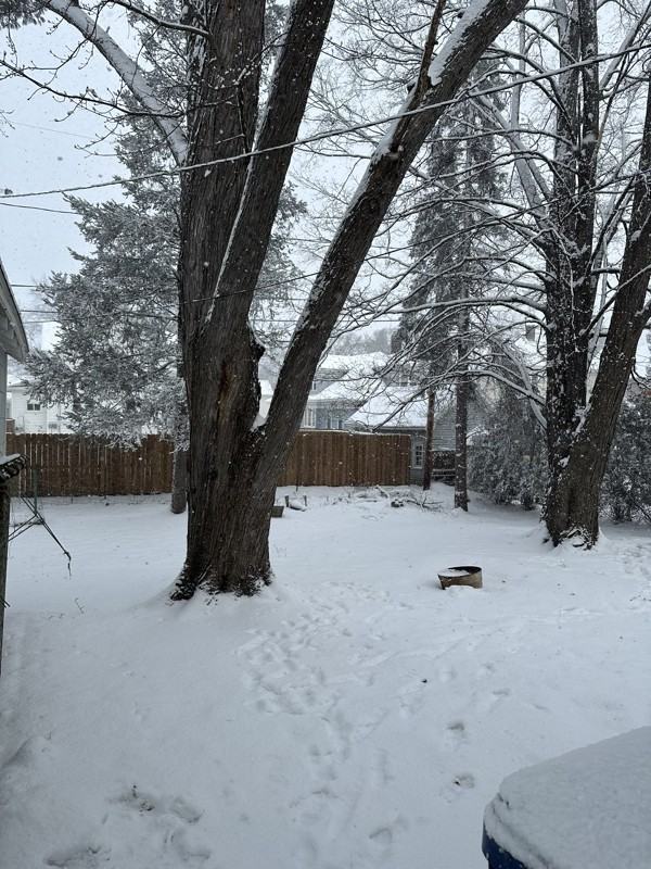 616 Dekalb Street - Photo 3 of 20