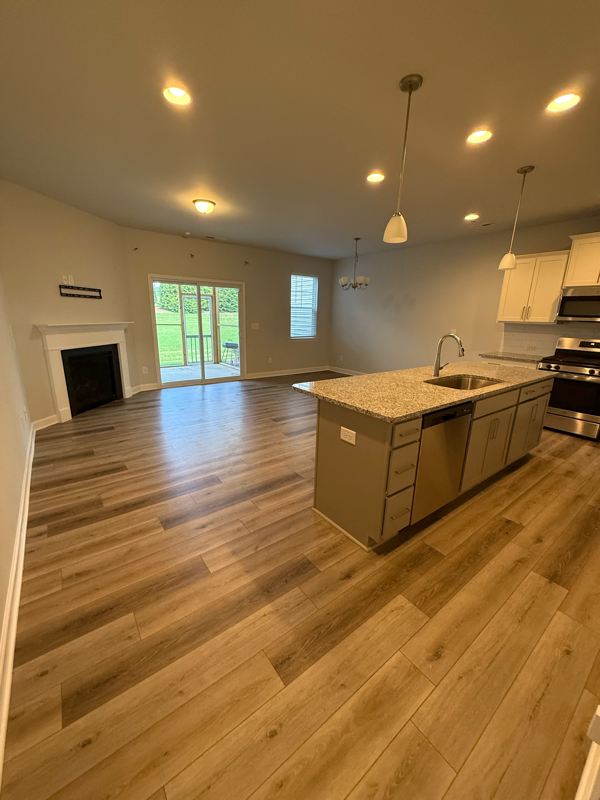 217 Peach Orchard Court - Photo 6 of 11